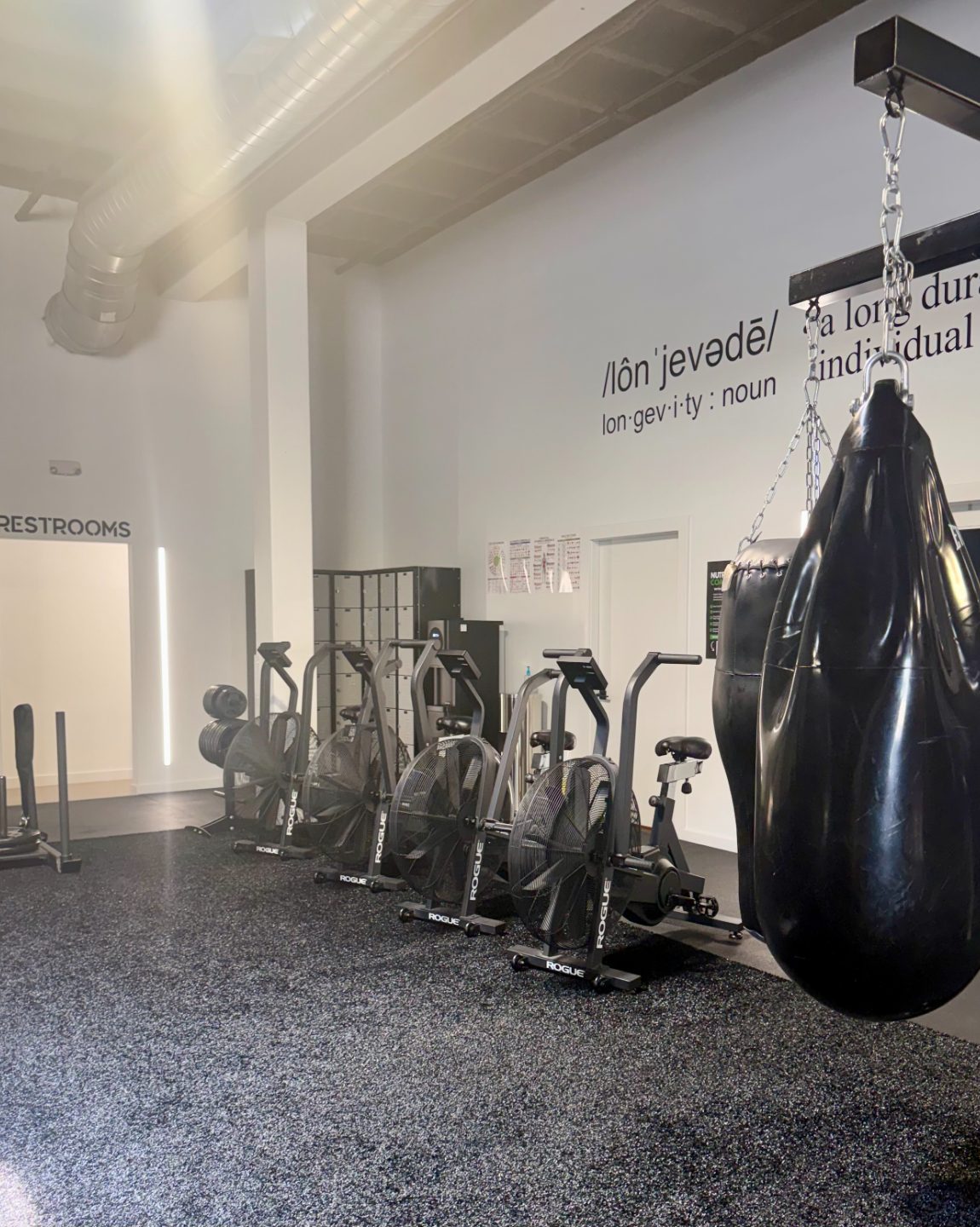 Clean, organized cardio area