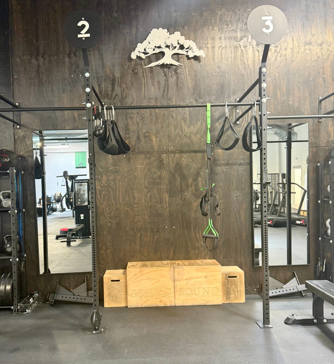 Strength and functional training rig