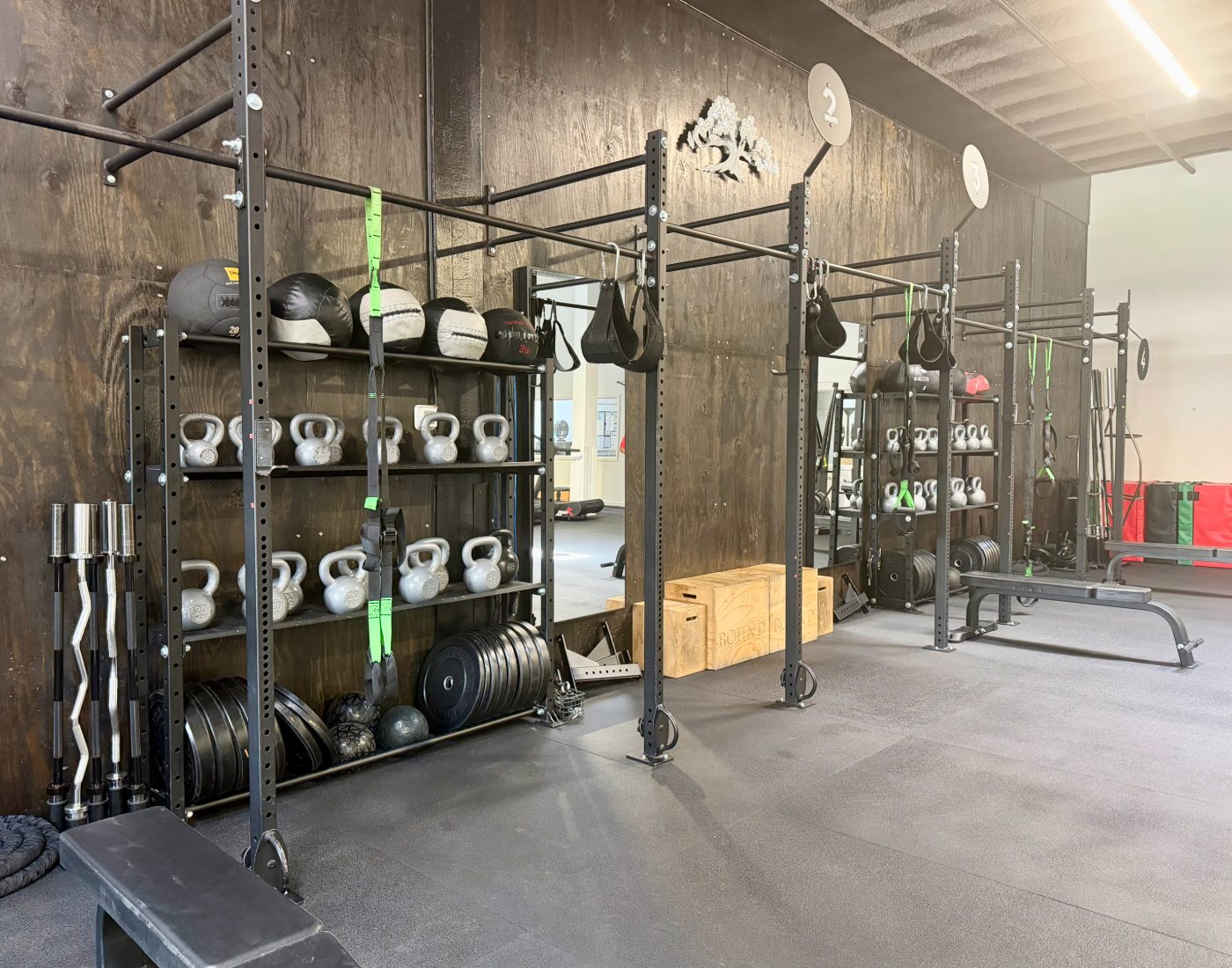 Free weights and kettlebells