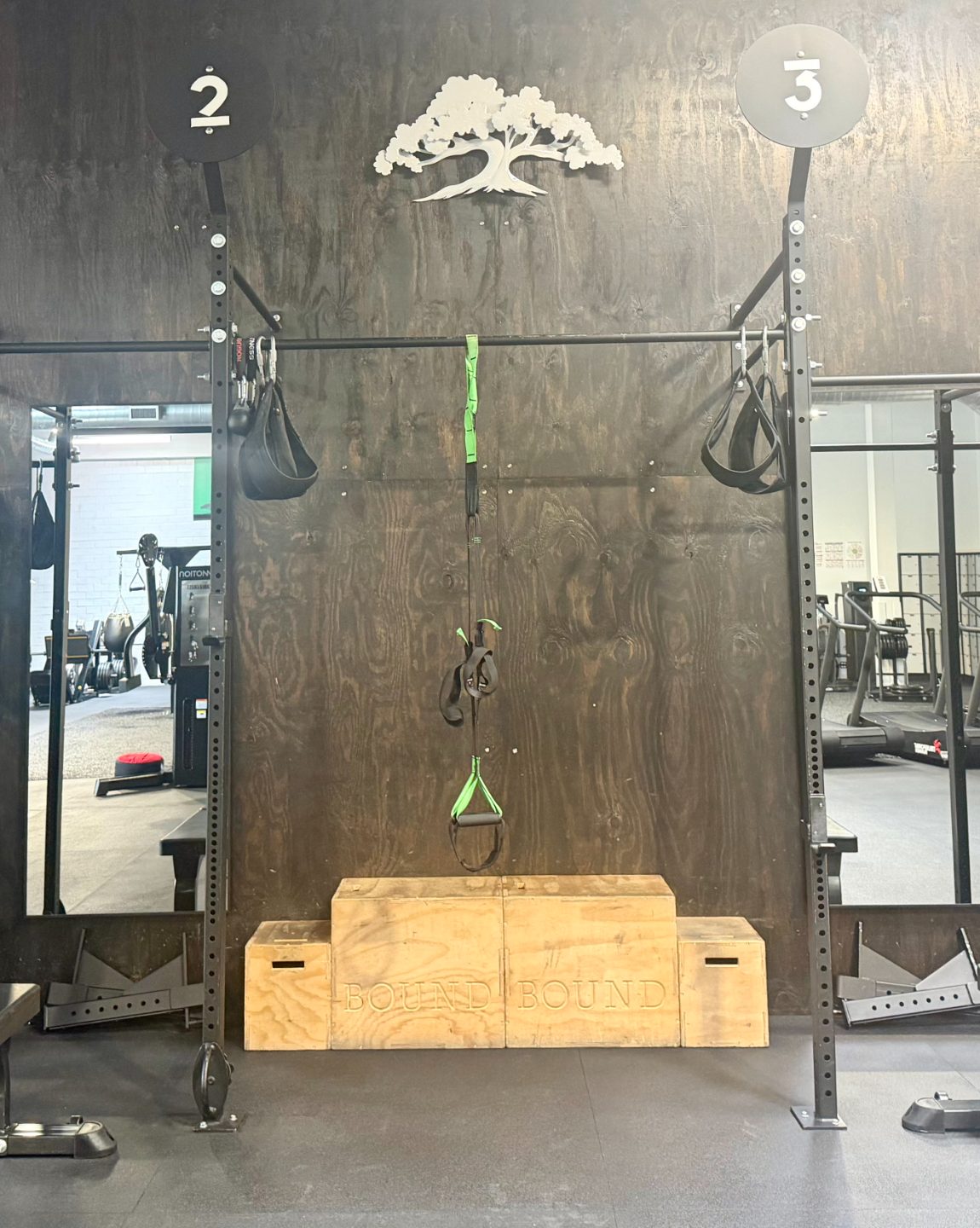 The Longevity gym and amenities